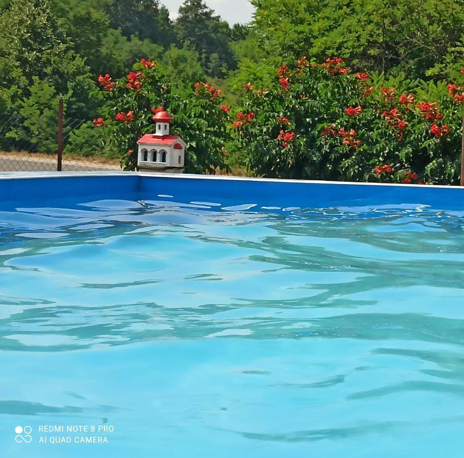 Guest House Vila Aleksa Bogutovac Экстерьер фото