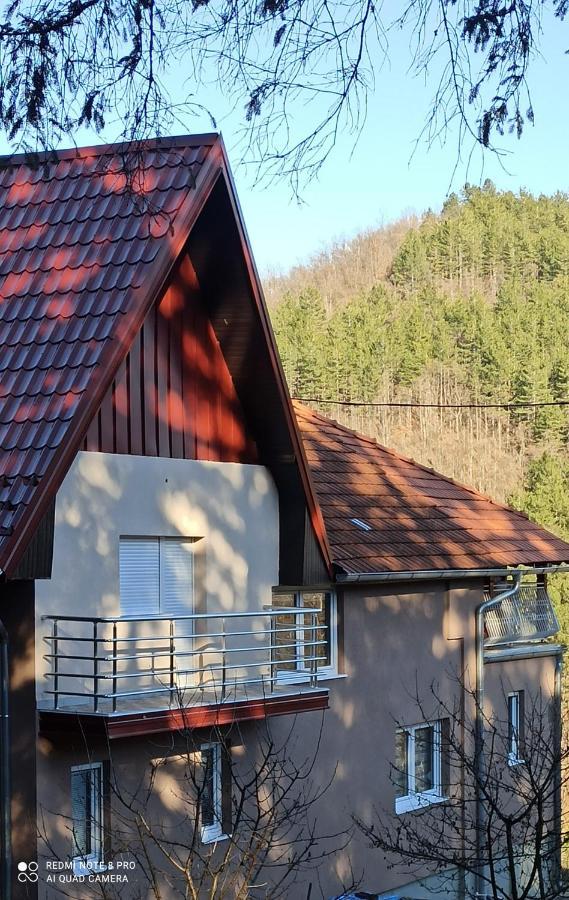 Guest House Vila Aleksa Bogutovac Экстерьер фото