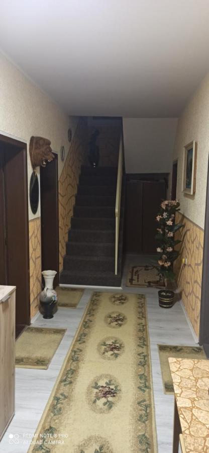 Guest House Vila Aleksa Bogutovac Экстерьер фото