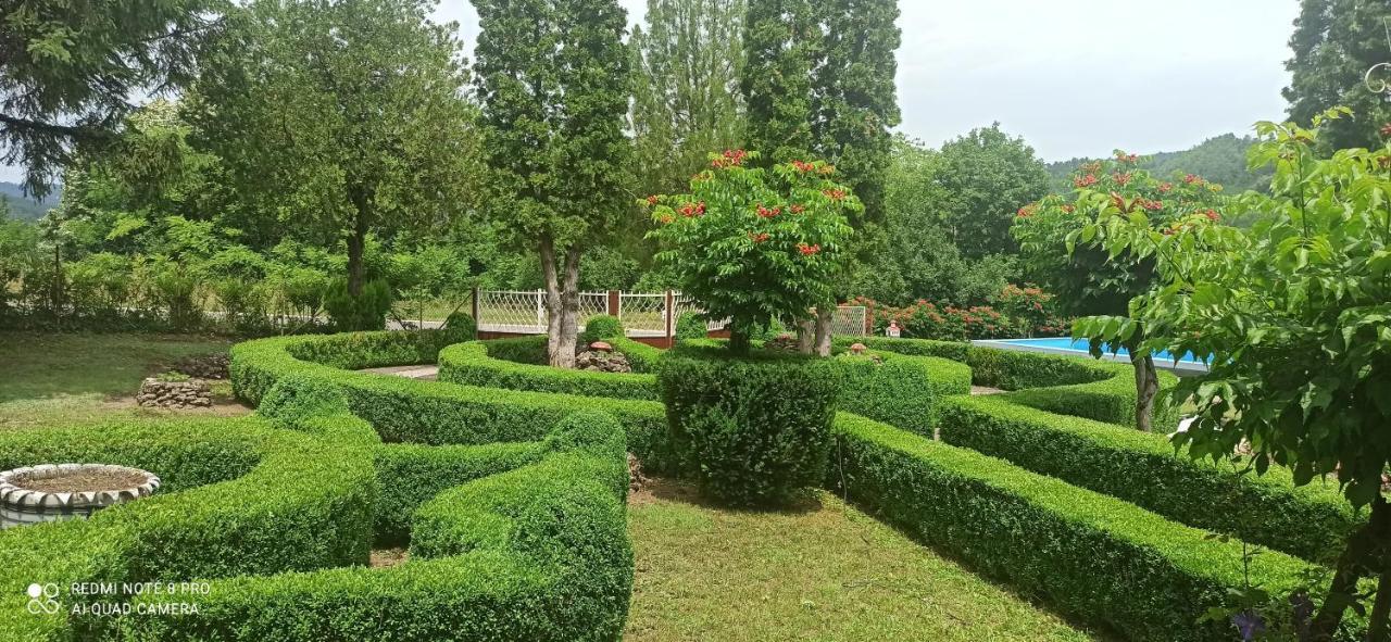 Guest House Vila Aleksa Bogutovac Экстерьер фото