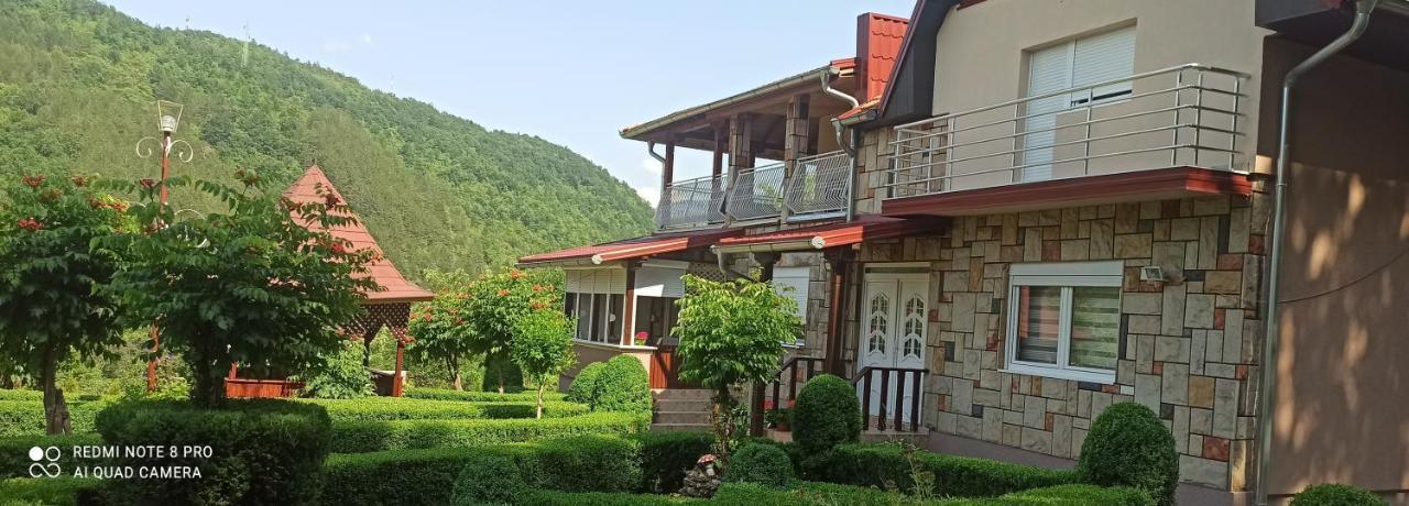 Guest House Vila Aleksa Bogutovac Экстерьер фото