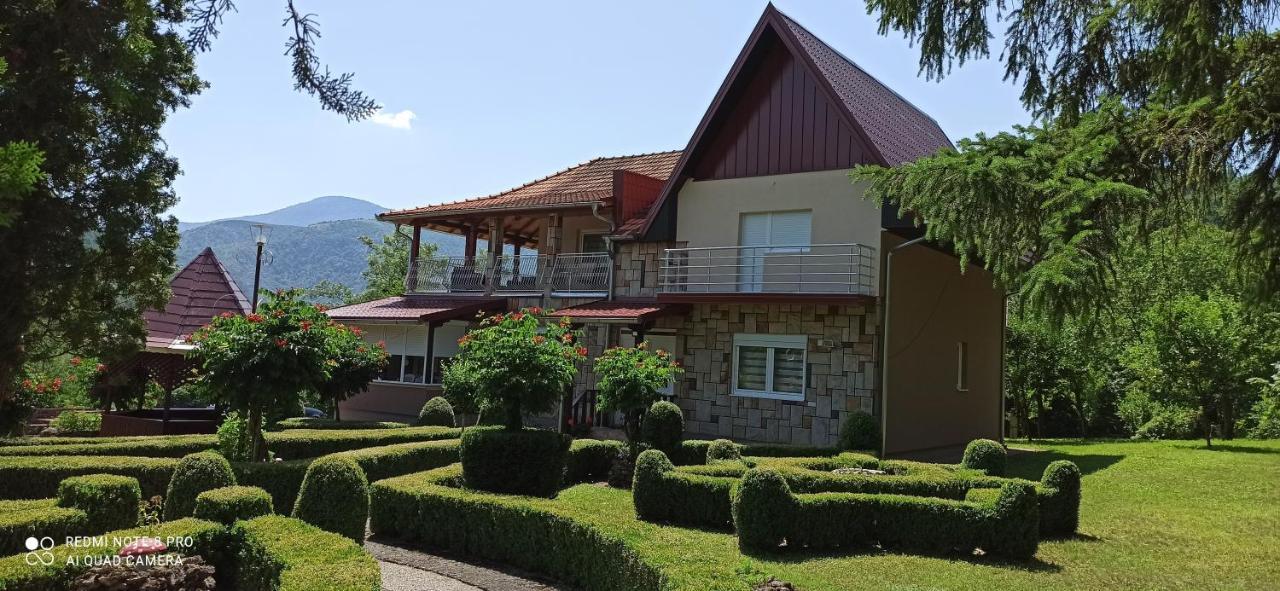 Guest House Vila Aleksa Bogutovac Экстерьер фото