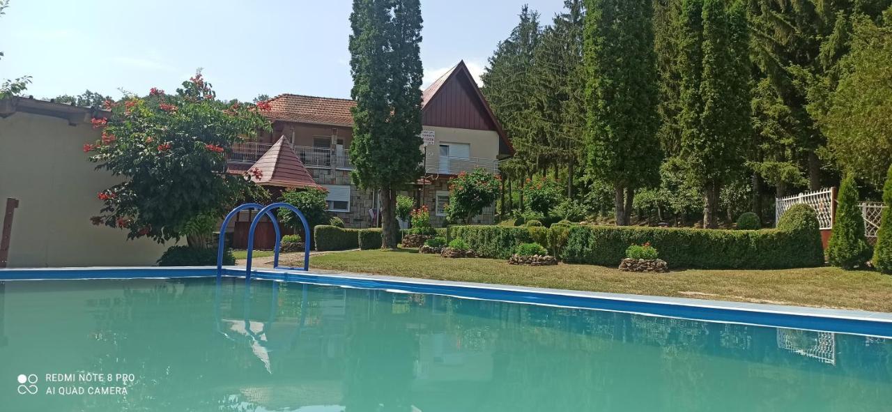 Guest House Vila Aleksa Bogutovac Экстерьер фото