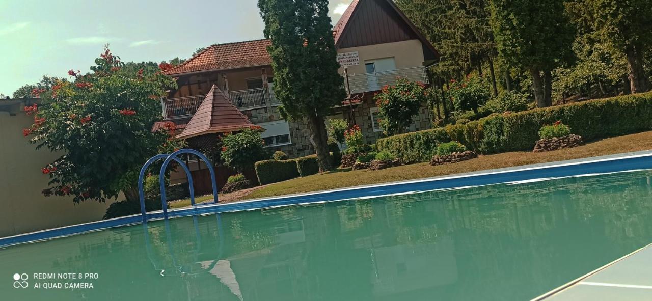 Guest House Vila Aleksa Bogutovac Экстерьер фото